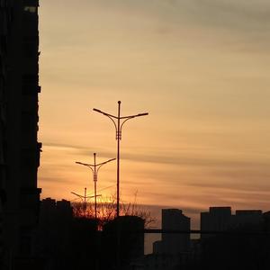 cekc高清bnдeo浓毛
